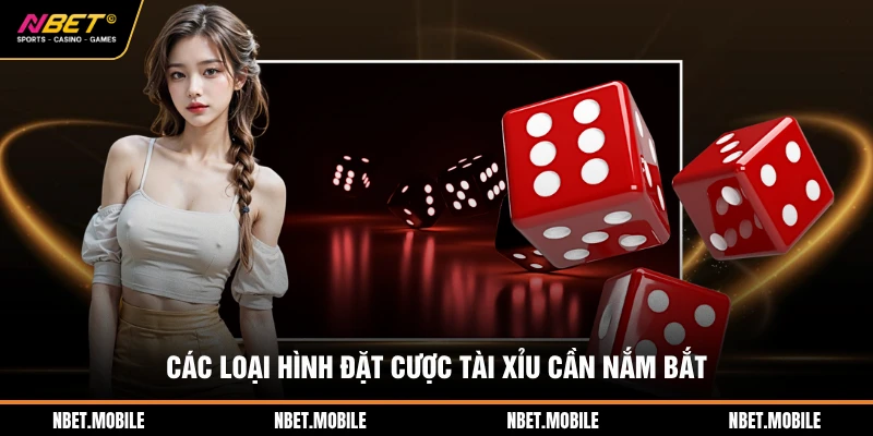 Các loại hình đặt cược tài xỉu cần nắm bắt