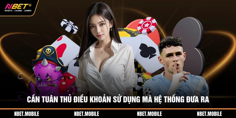 Cần tuân thủ điều khoản sử dụng mà hệ thống đưa ra