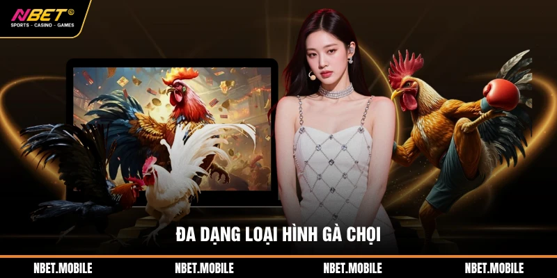 Đa dạng loại hình gà chọi