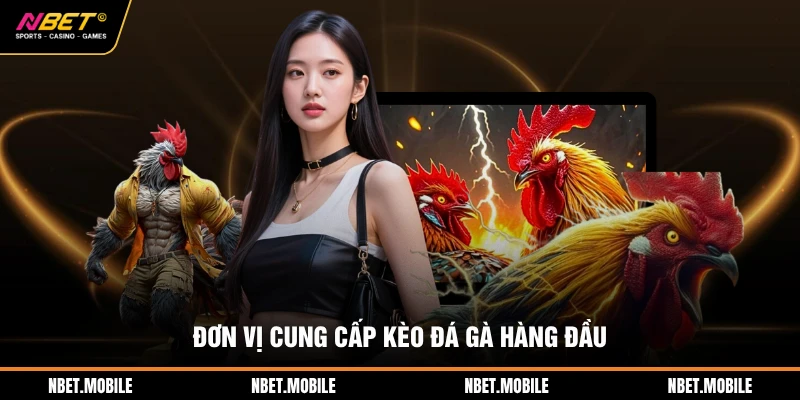 Đơn vị cung cấp kèo đá gà hàng đầu